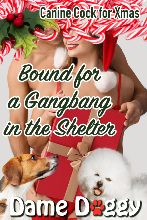 Bound for a Gangbang in the Shelter